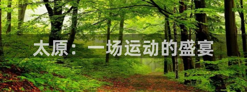 MK体育官网下载官方客服电话:太原:一场运动的盛宴