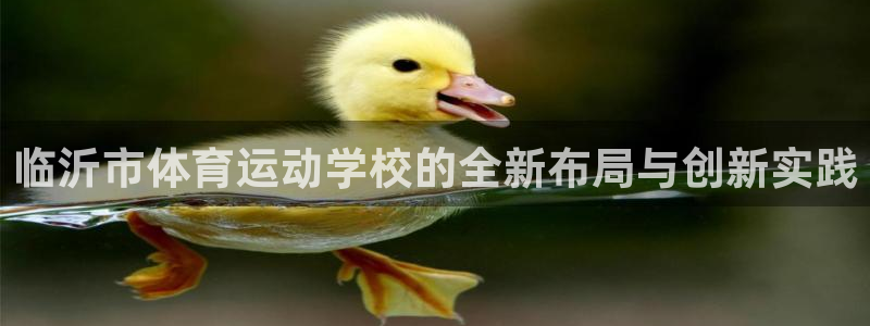 MK体育官网下载招商电话号码查询:临沂市体育运动学校的全新布